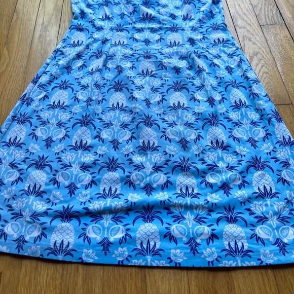 J. McLaughlin Size XS Blue Rue Pineapple Print Sleeveless Split Neck Shift Dress - Picture 12 of 13